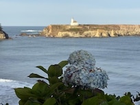 View from property of Cape Arago Lighthouse