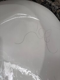 Strands of hair left behind by in the bathroom sink by housekeeping.