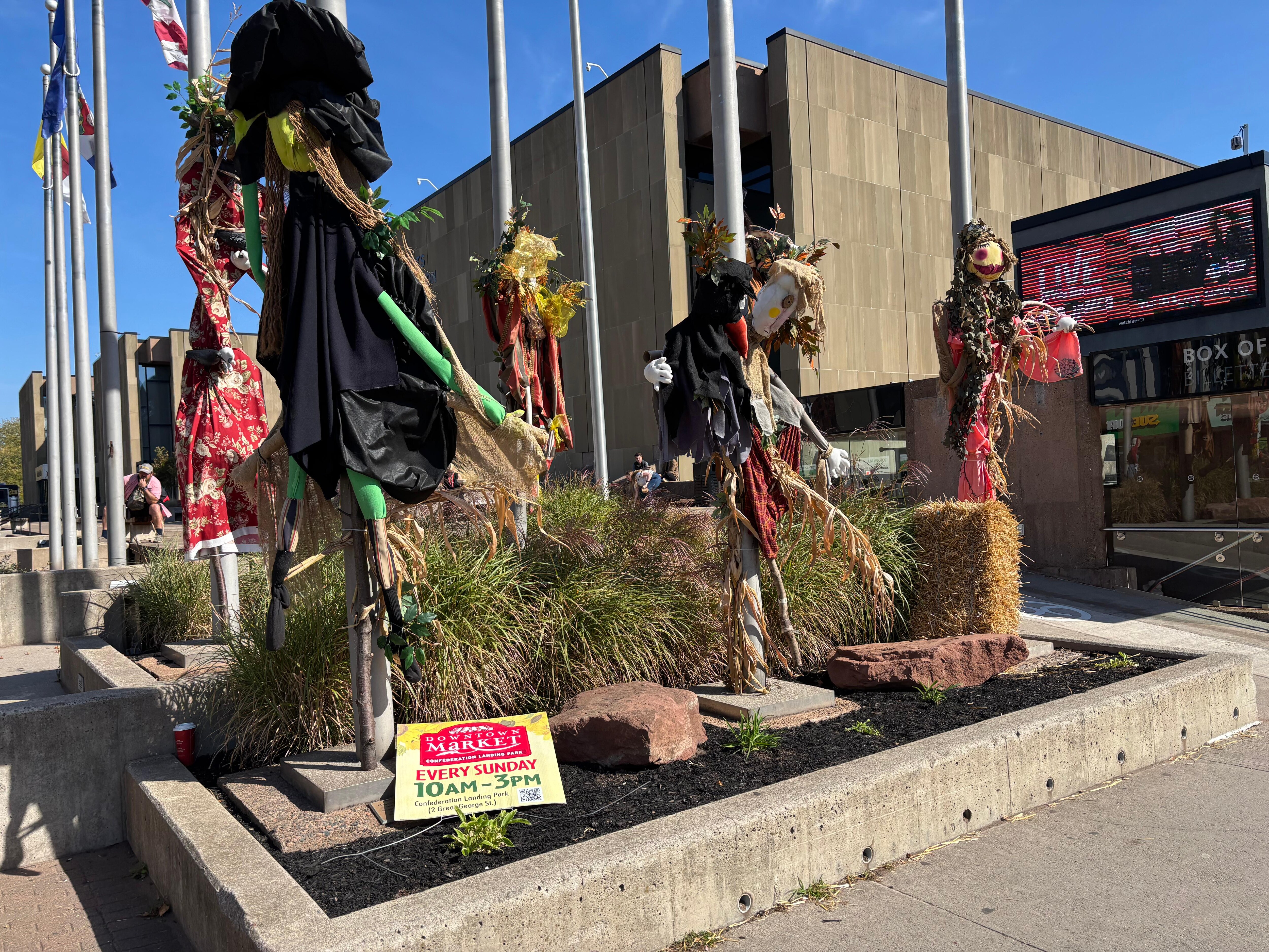 Scarecrows all over town!