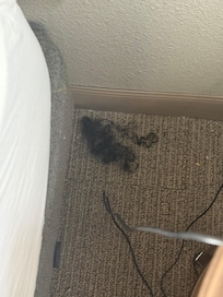 Someone else’s hair was left beside the bed.