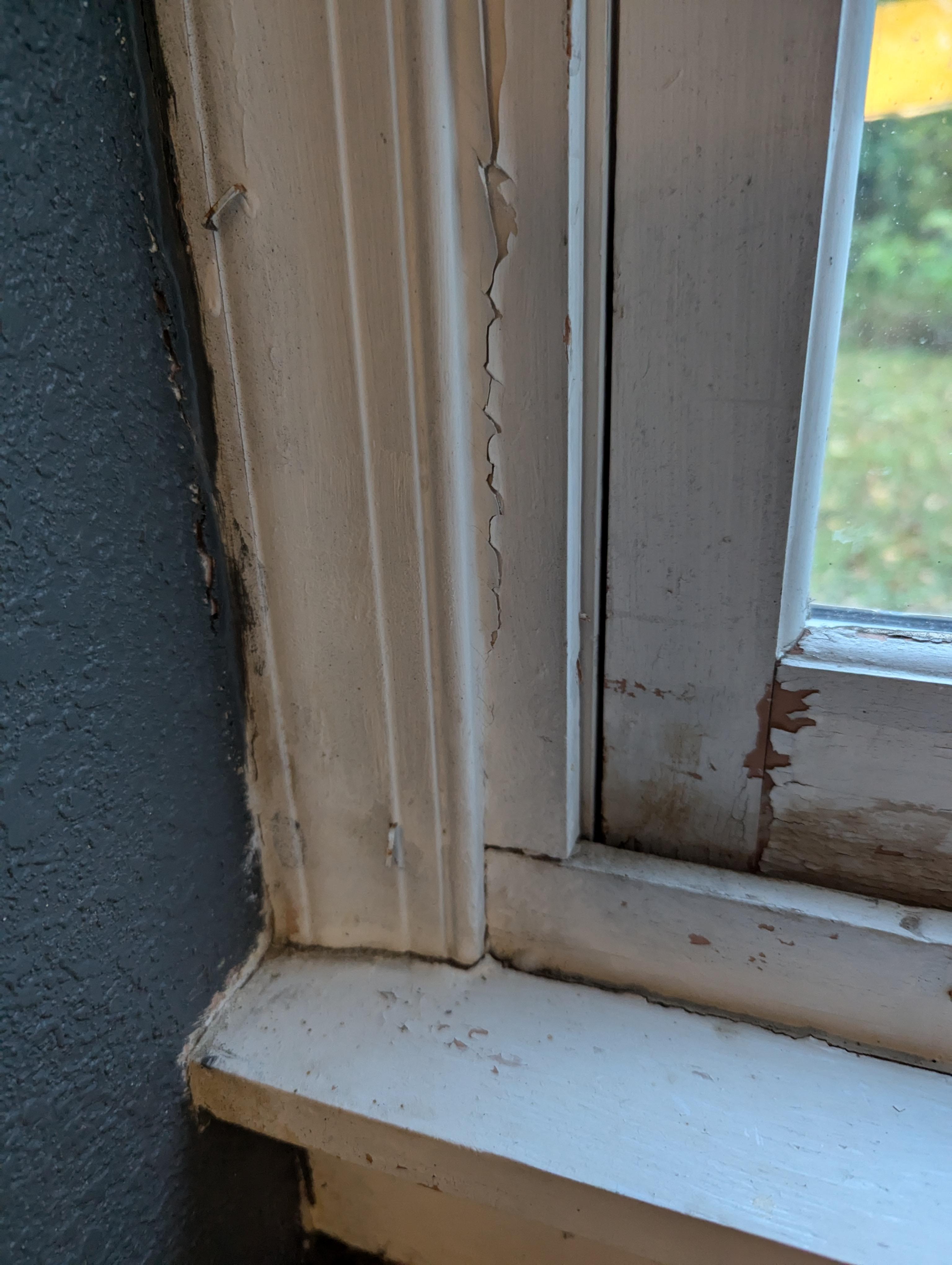 Moldy window sill