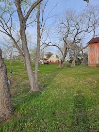 View from side of property in the back towards the house