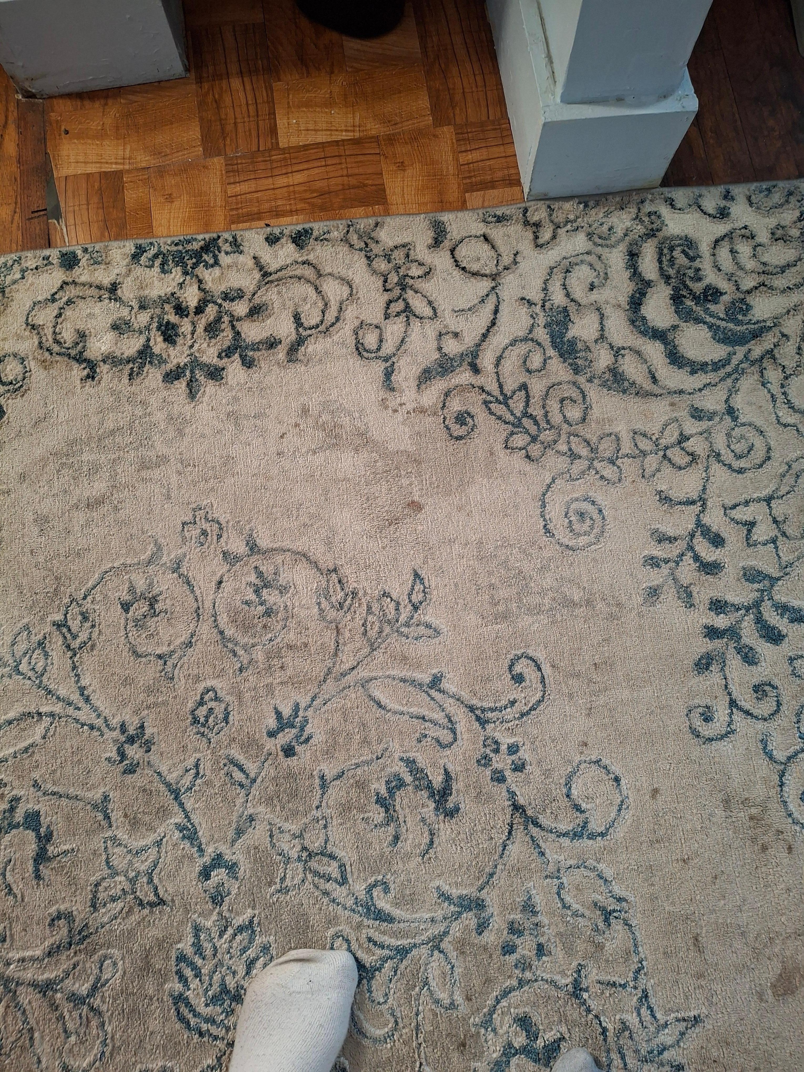 The rug