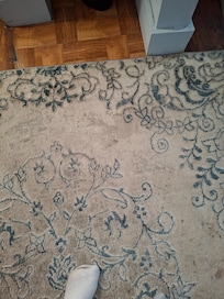 The rug