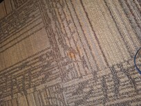 Stains on carpet that were there upon arrival that the hotel is charging my card for
