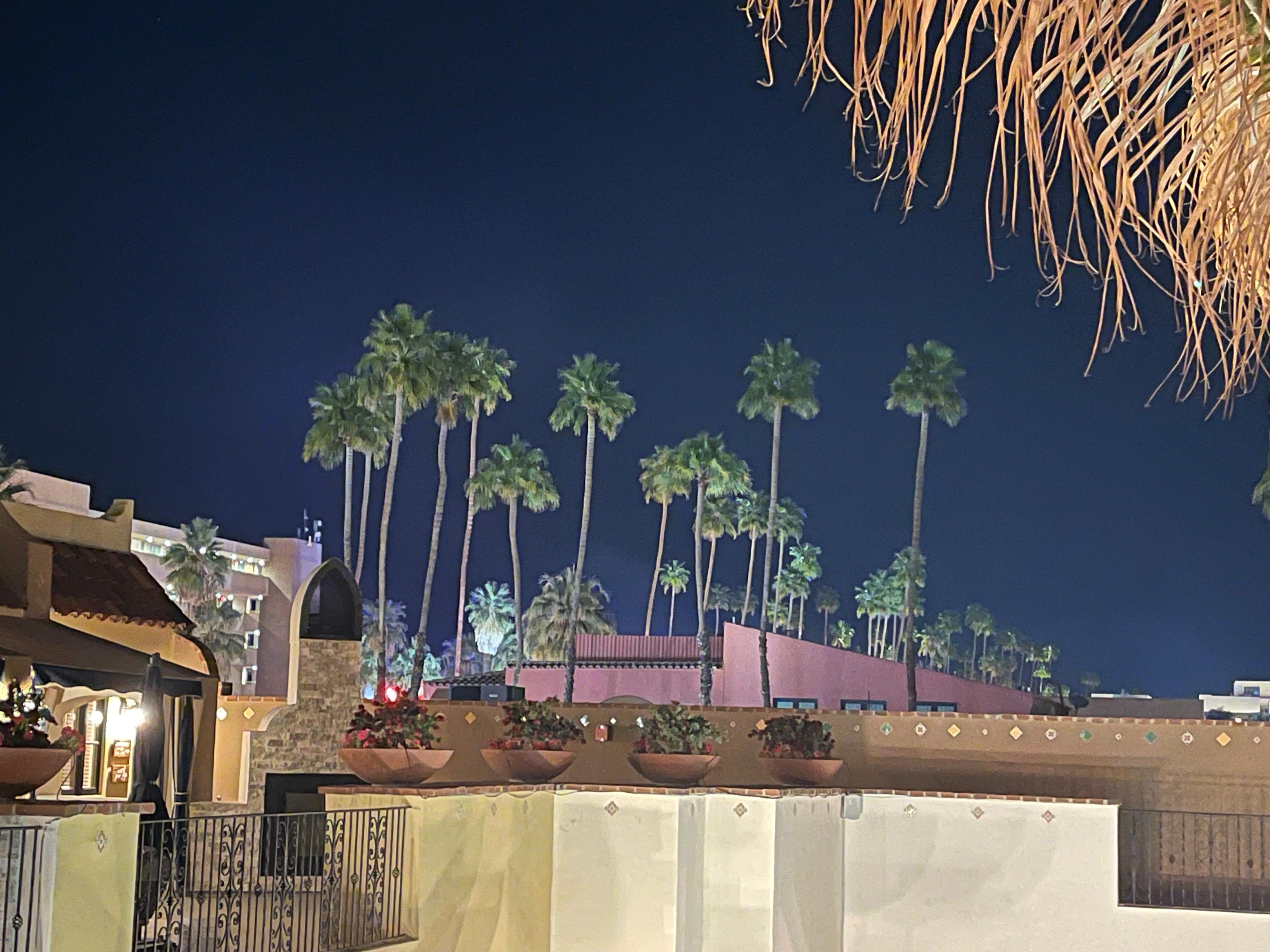 The view from the roof area.