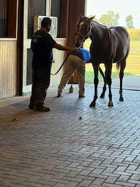 Horse farm