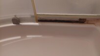 Mouldy shower basin