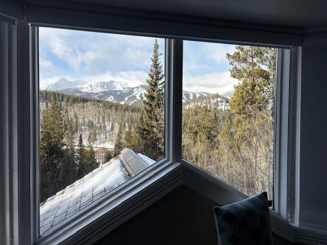 Primary Bedroom View