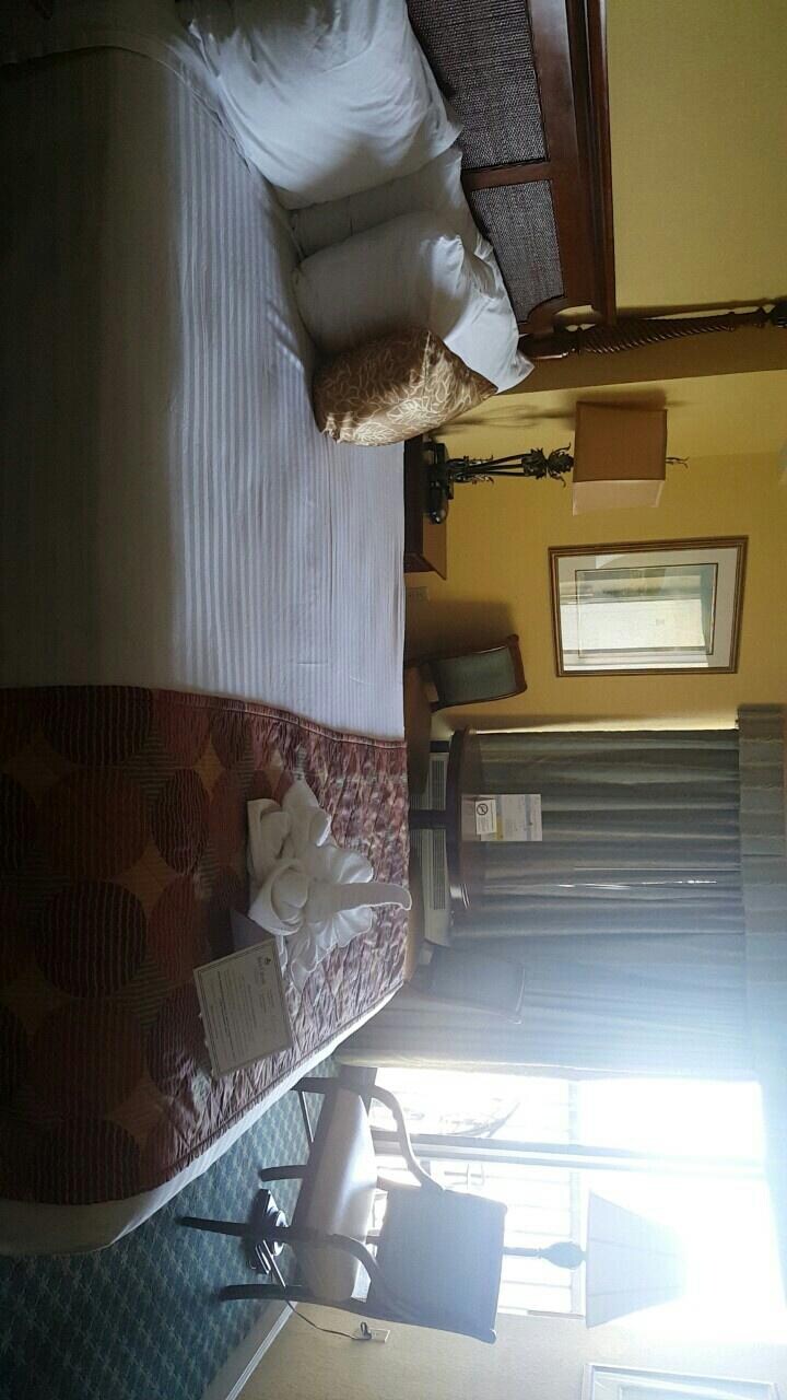 Standard King Partial View