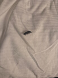 This is fake lashes found under the covers. I don't wear lashes. We originally thought it was a bug