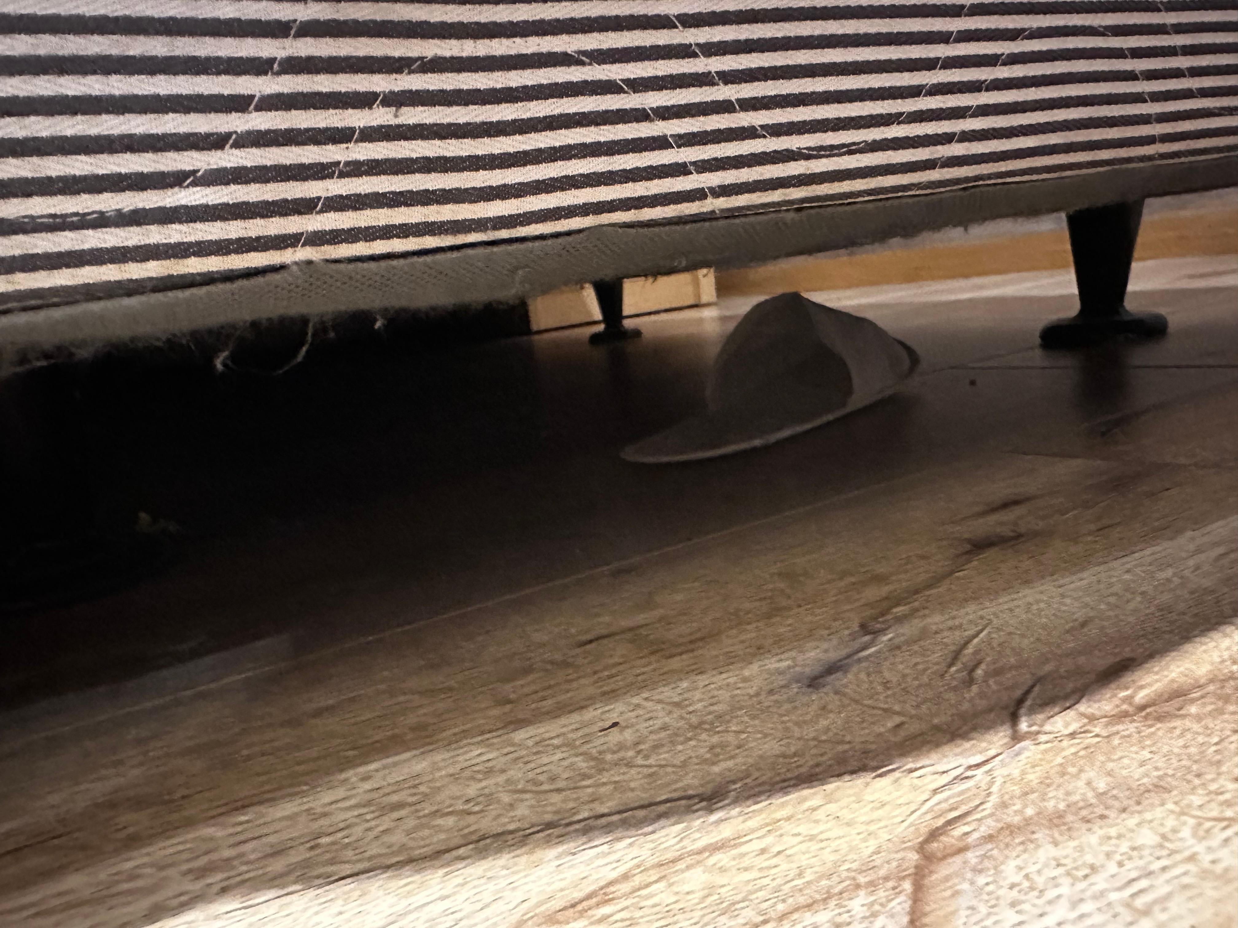 Dirt under the bed. The slipper underneath is not ours