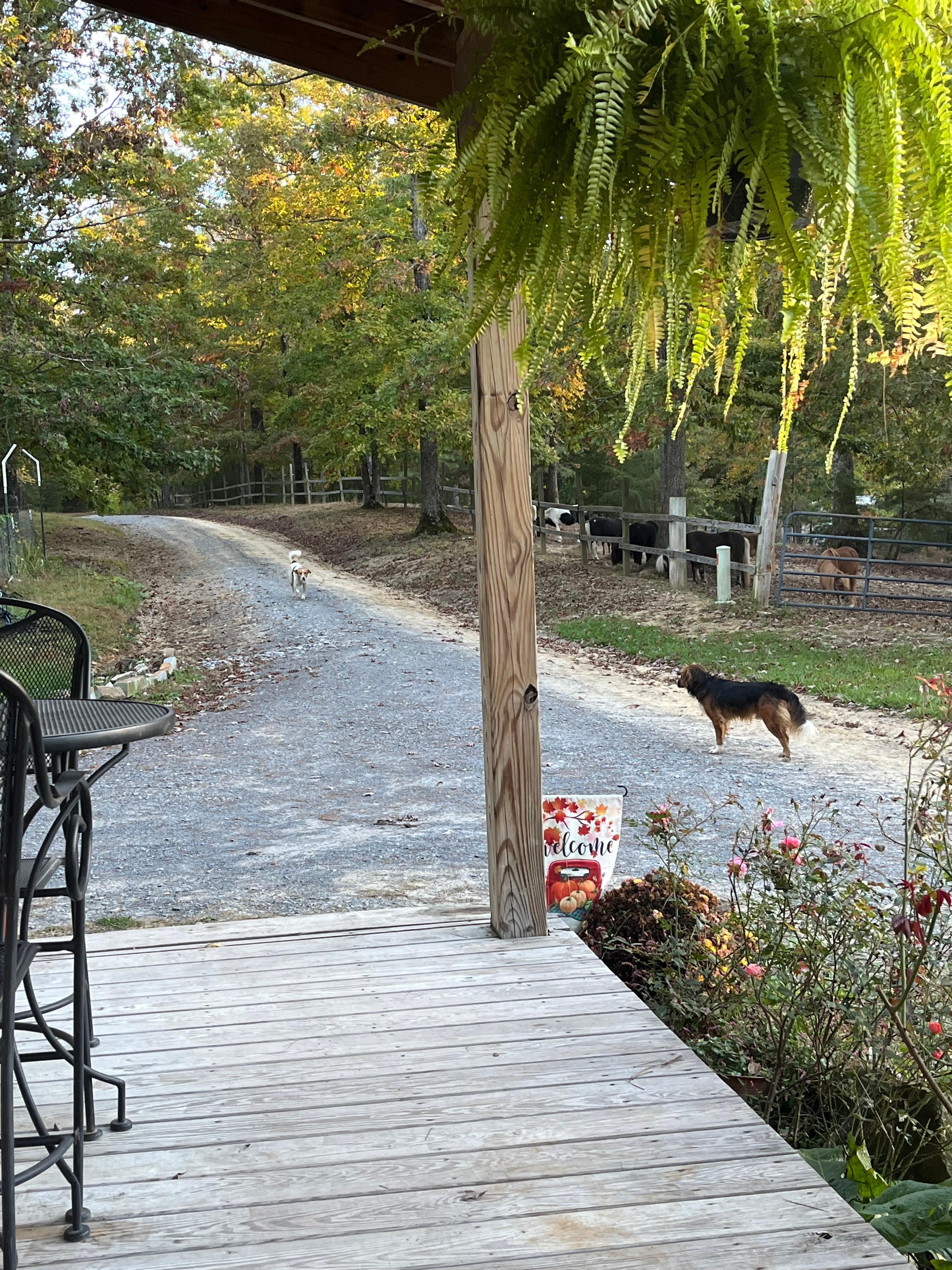 The welcoming committee: maybe Chris and Bear? 
