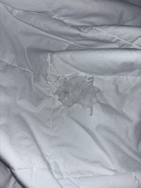Torn, Tattered & Stained Bed Covers