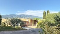 Blick von der Terrasse neben dem Pool in den Olivenhain