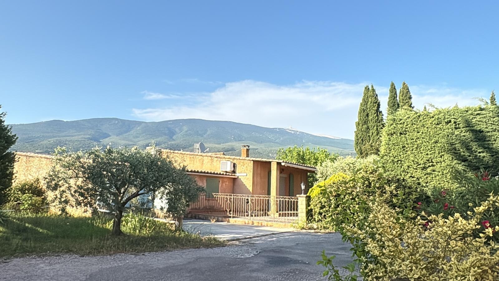 Blick von der Terrasse neben dem Pool in den Olivenhain