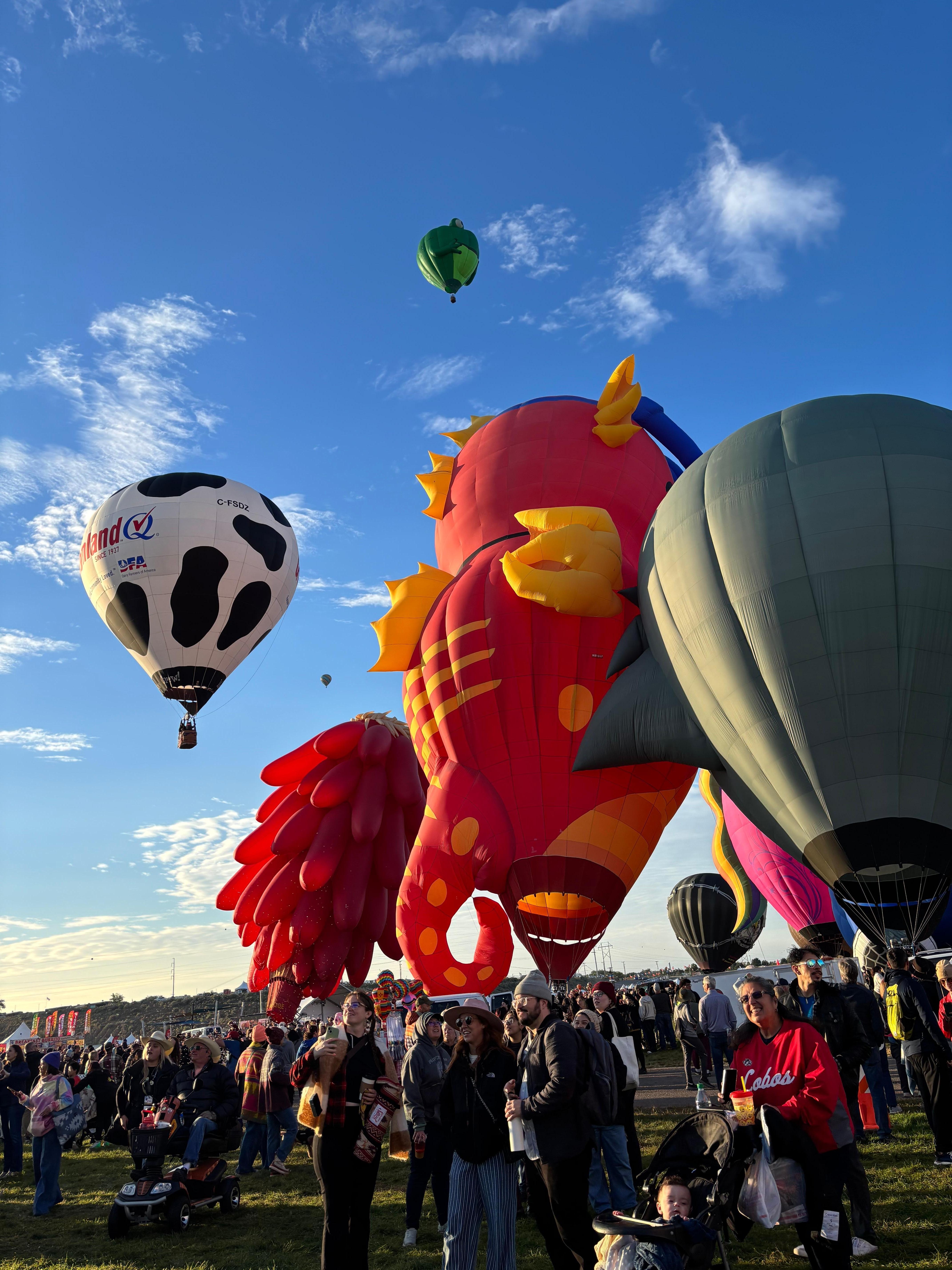 Balloon Festival 