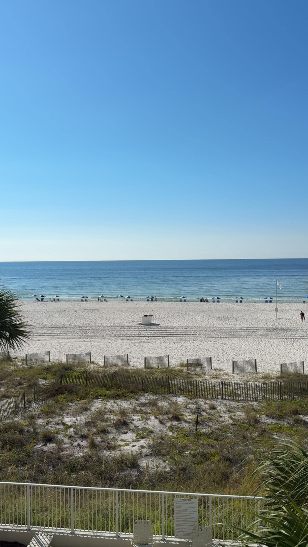 View from the massive balcony! 