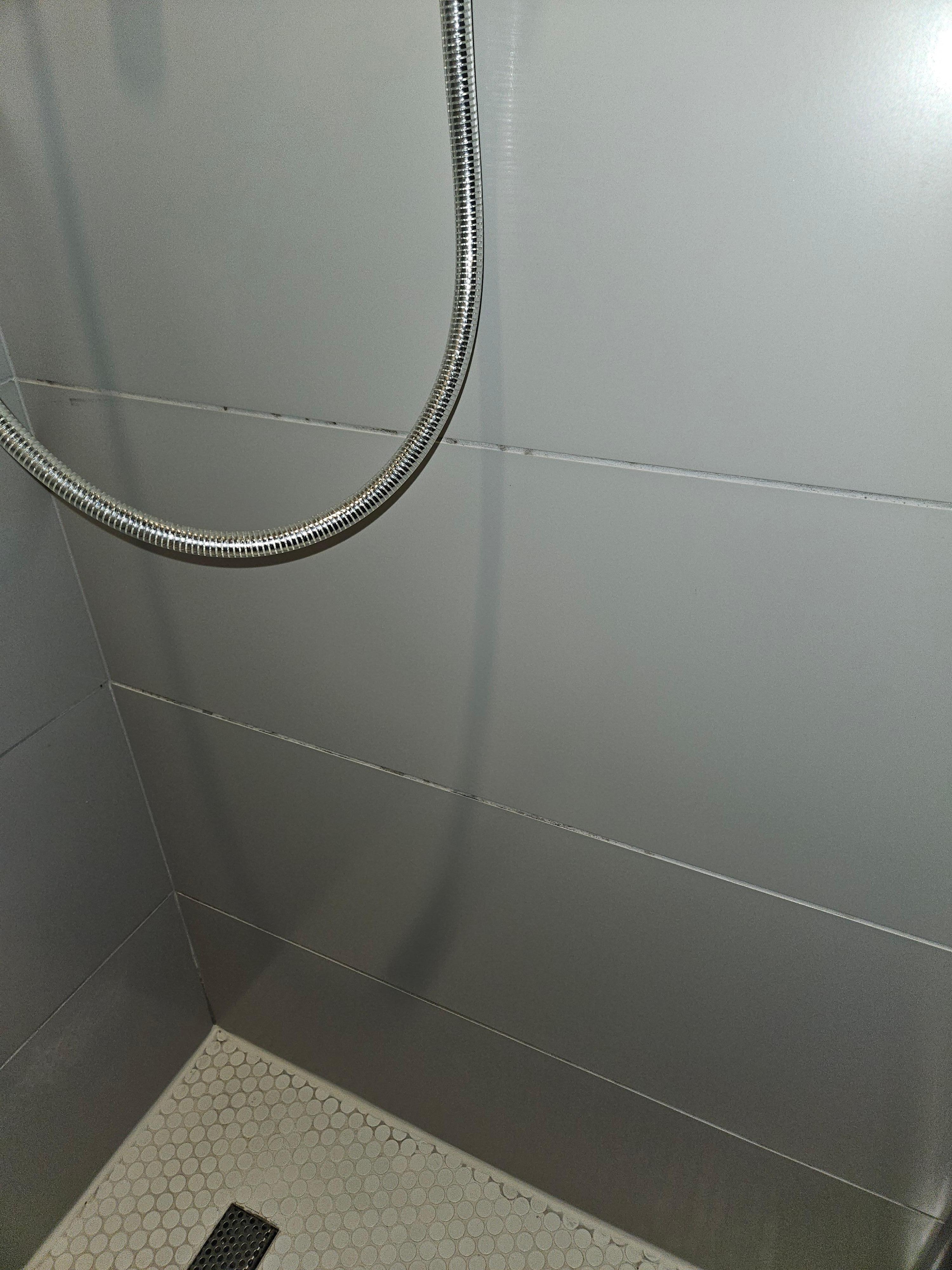 Mold in the grout lines in the shower.