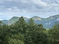 View from Front Porch