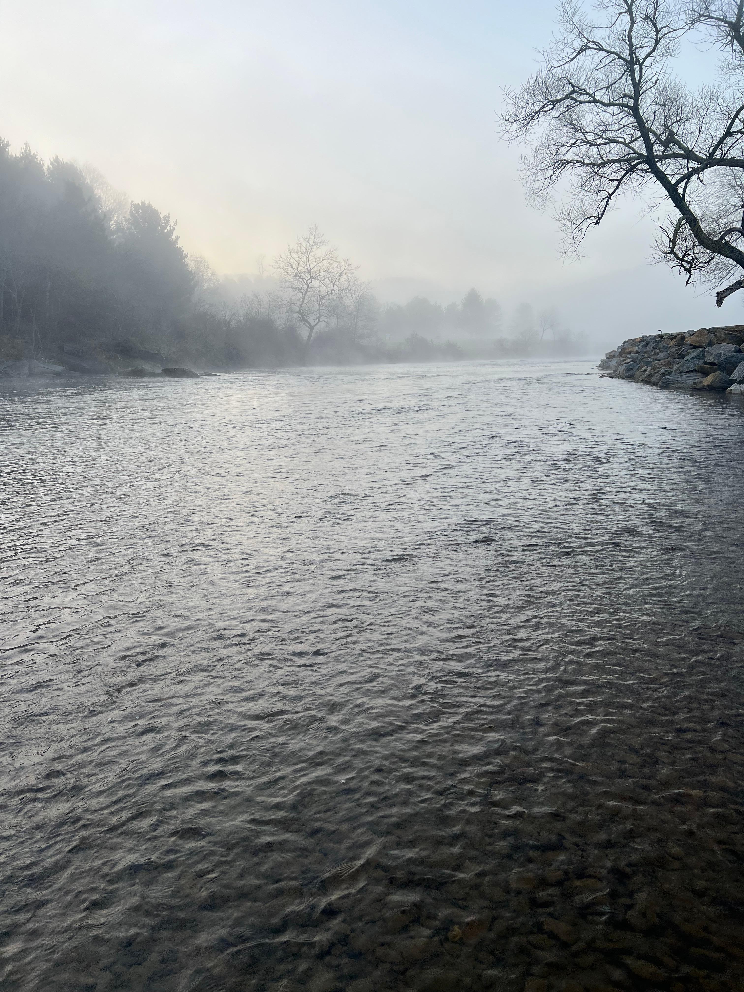 River in the morning 
