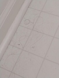 Hair all over floor