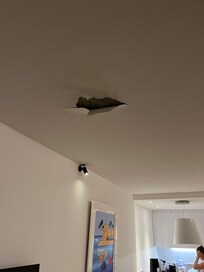 Feuchte Zimmerdecke bei Reisebeginn, 05.09.25