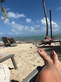 Lots of shade on the beach. Empty Chairs were hard to find.