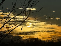 Sunrise through window from dining room