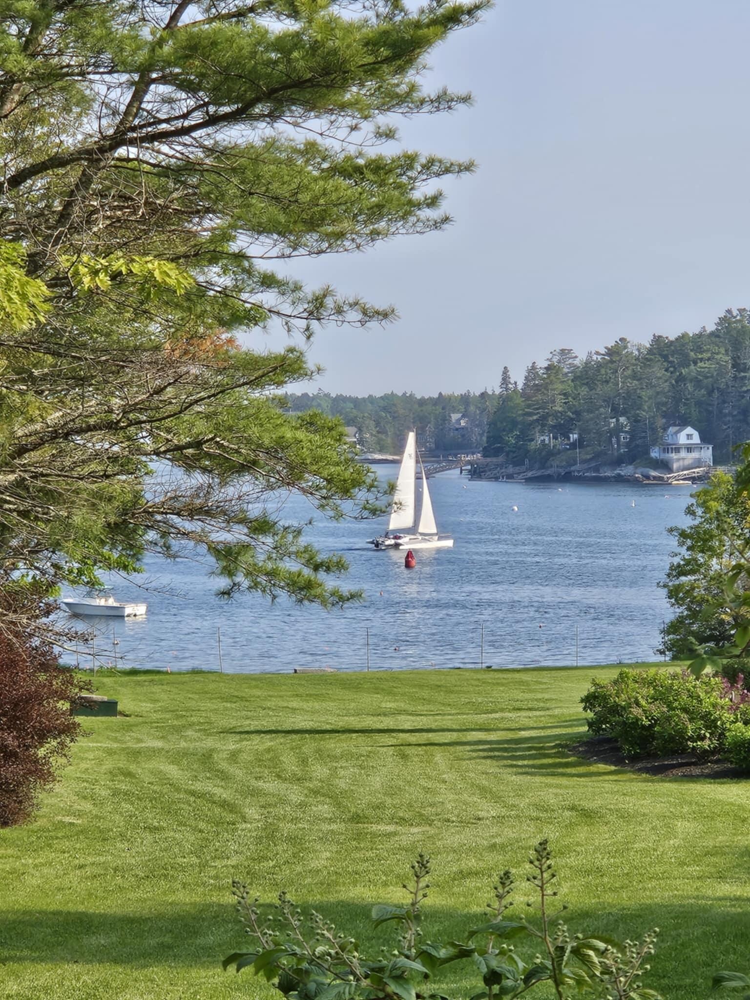Sailboat from living room window 
