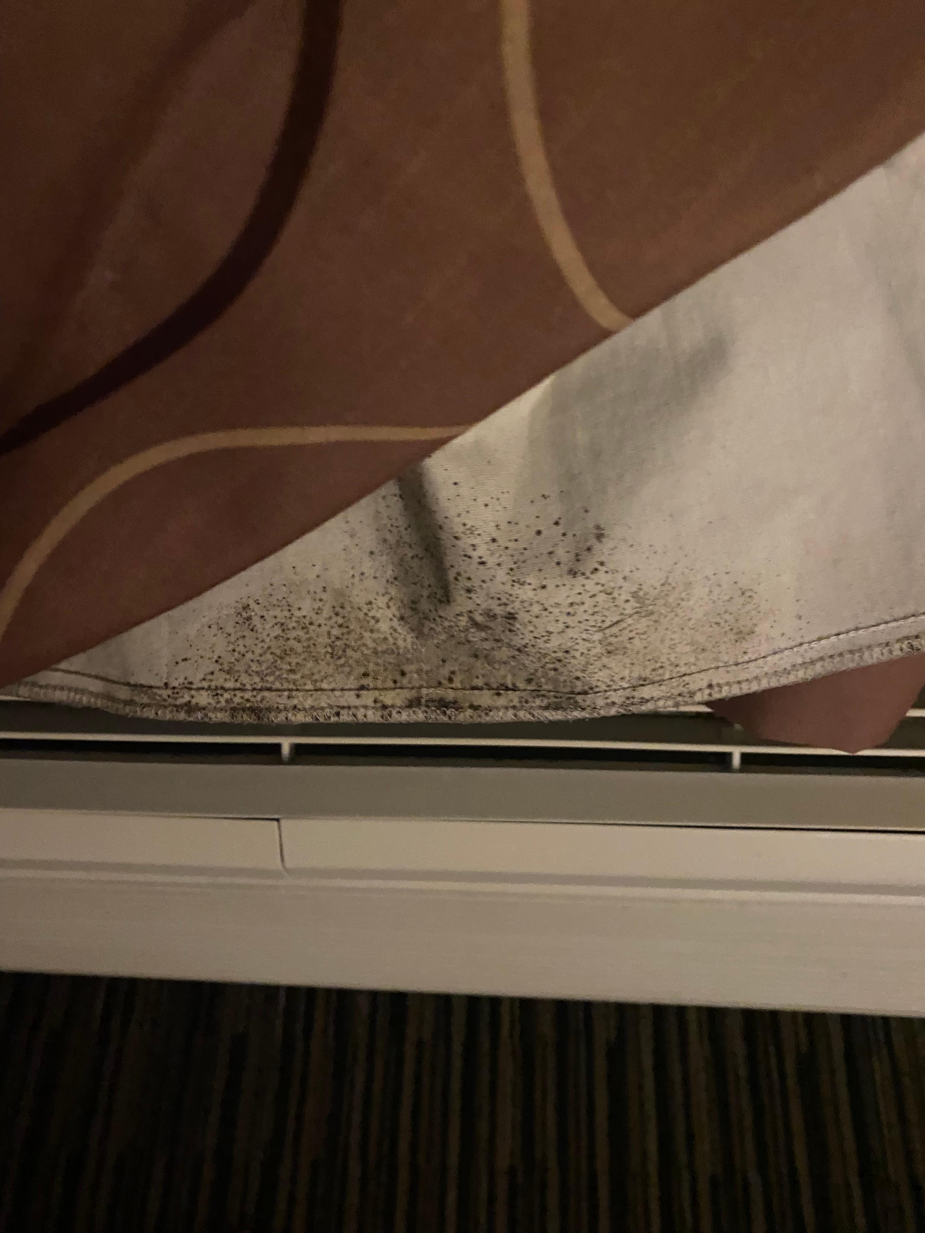 Mold on curtains in my room 