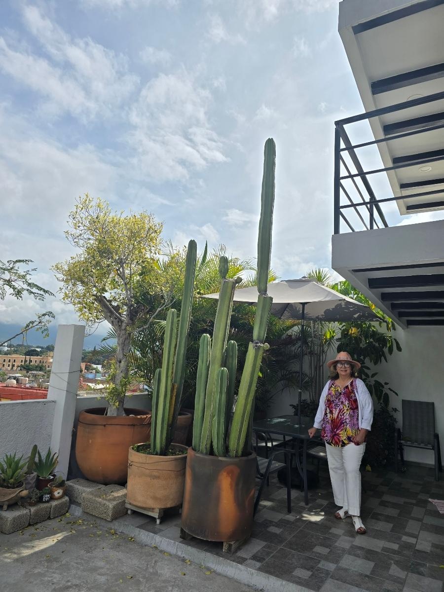 Private outdoor space