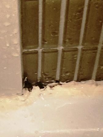 Ugly Mold/Mildew around Bathtub