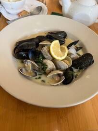 The killer shell fish!