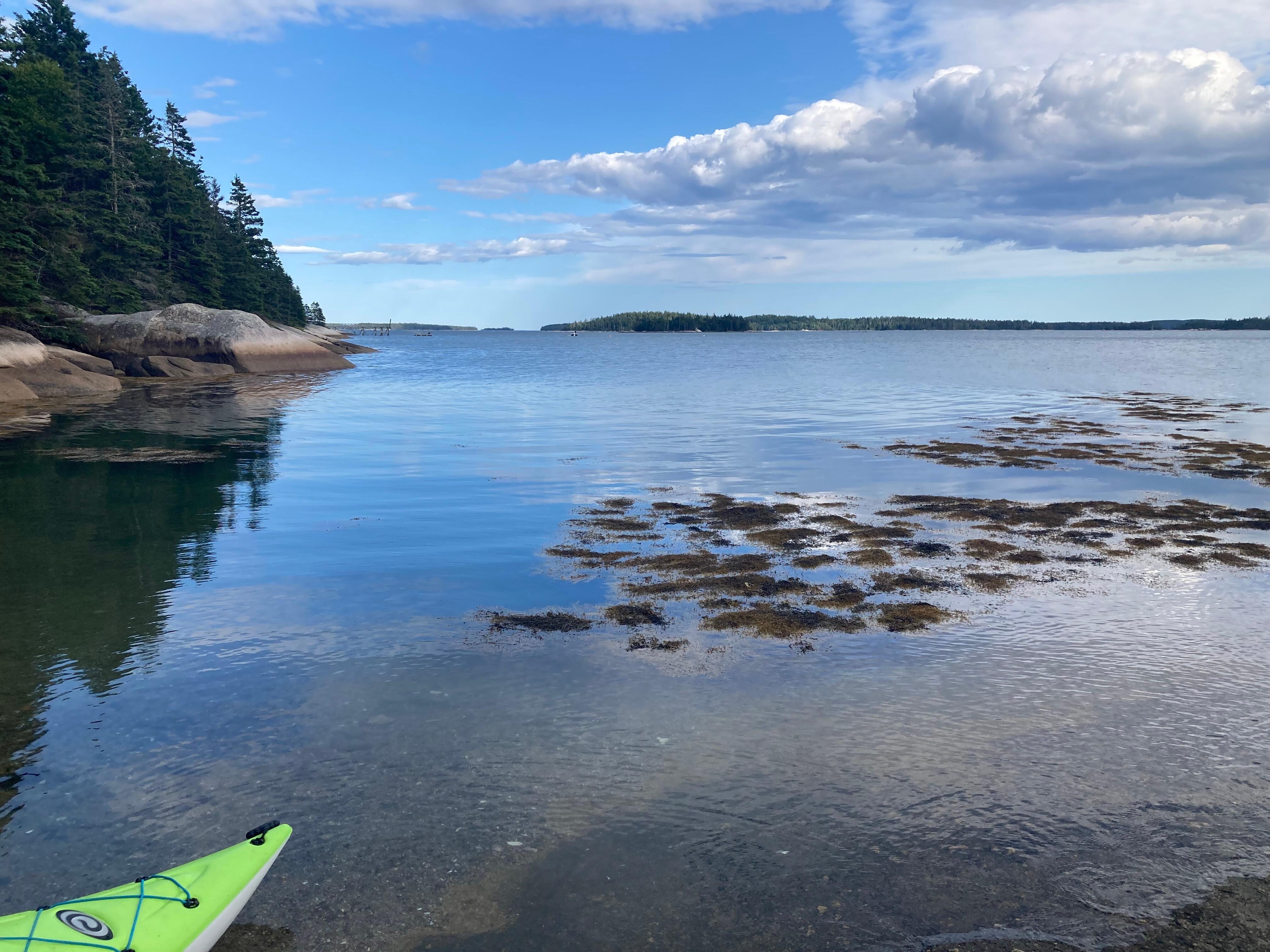 Beautiful day for kayaking!