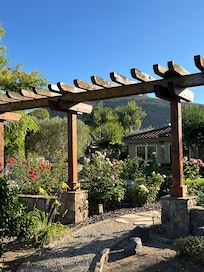 Views of rose garden in the back yard.