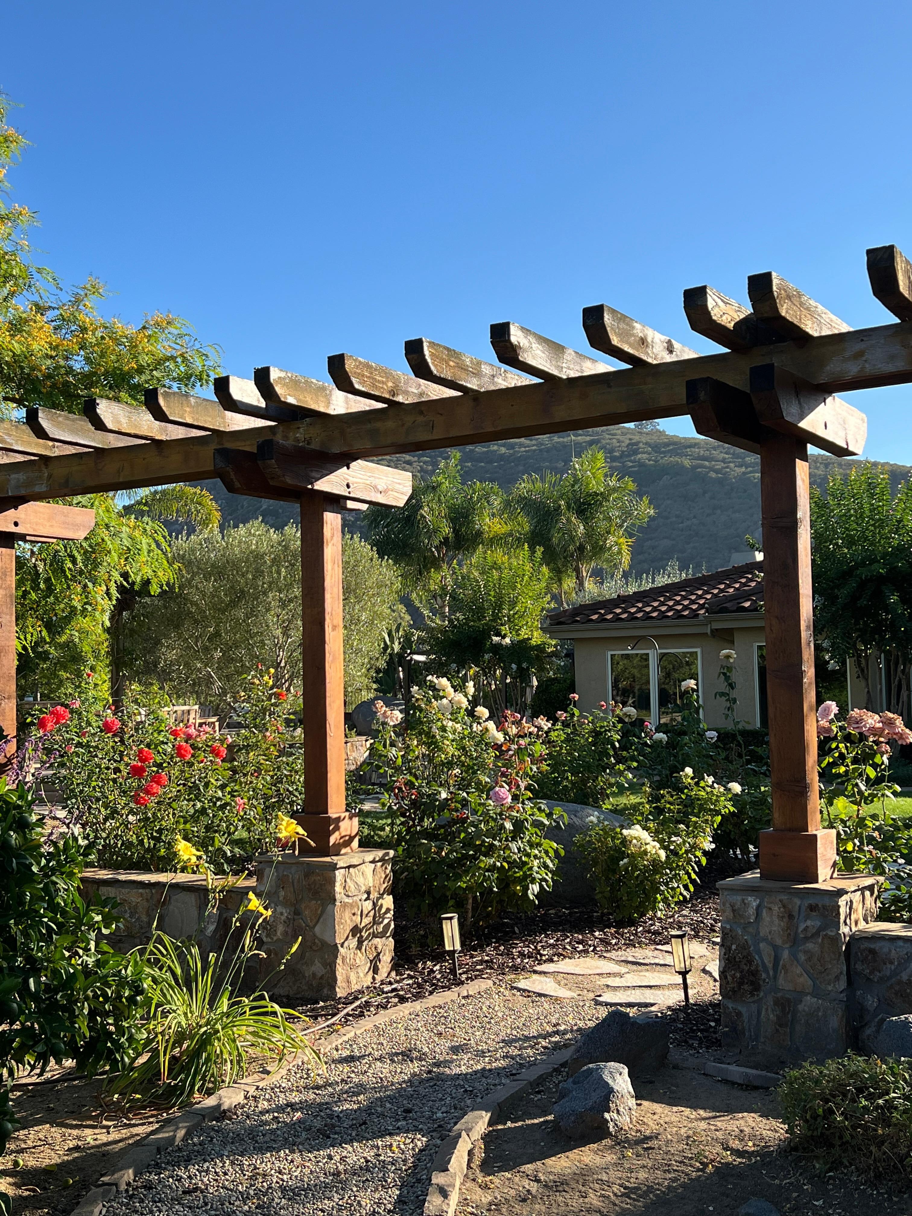 Views of rose garden in the back yard.