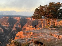 Sunrise hike to the canyon rim, stunning