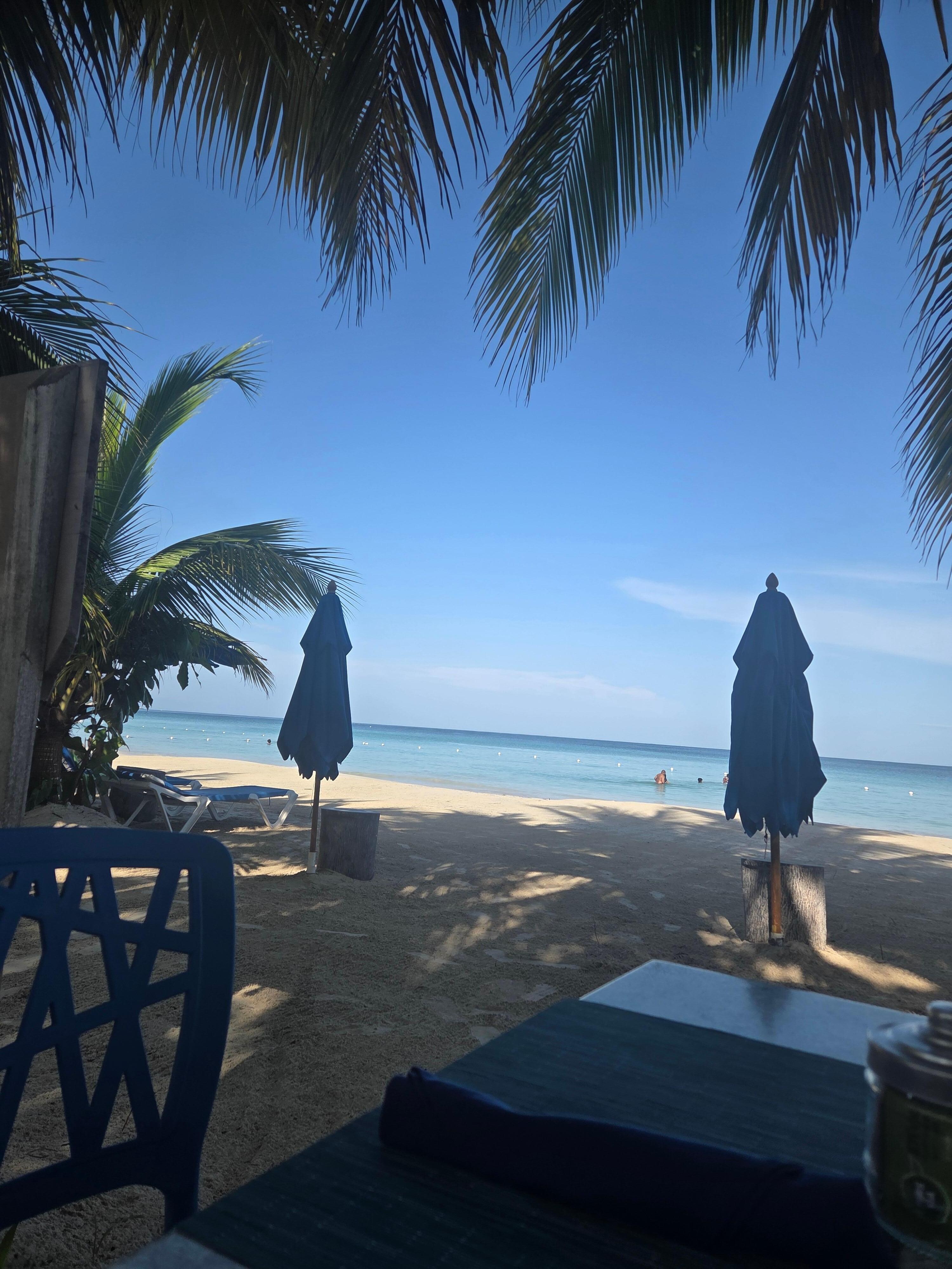 Breakfast with a view