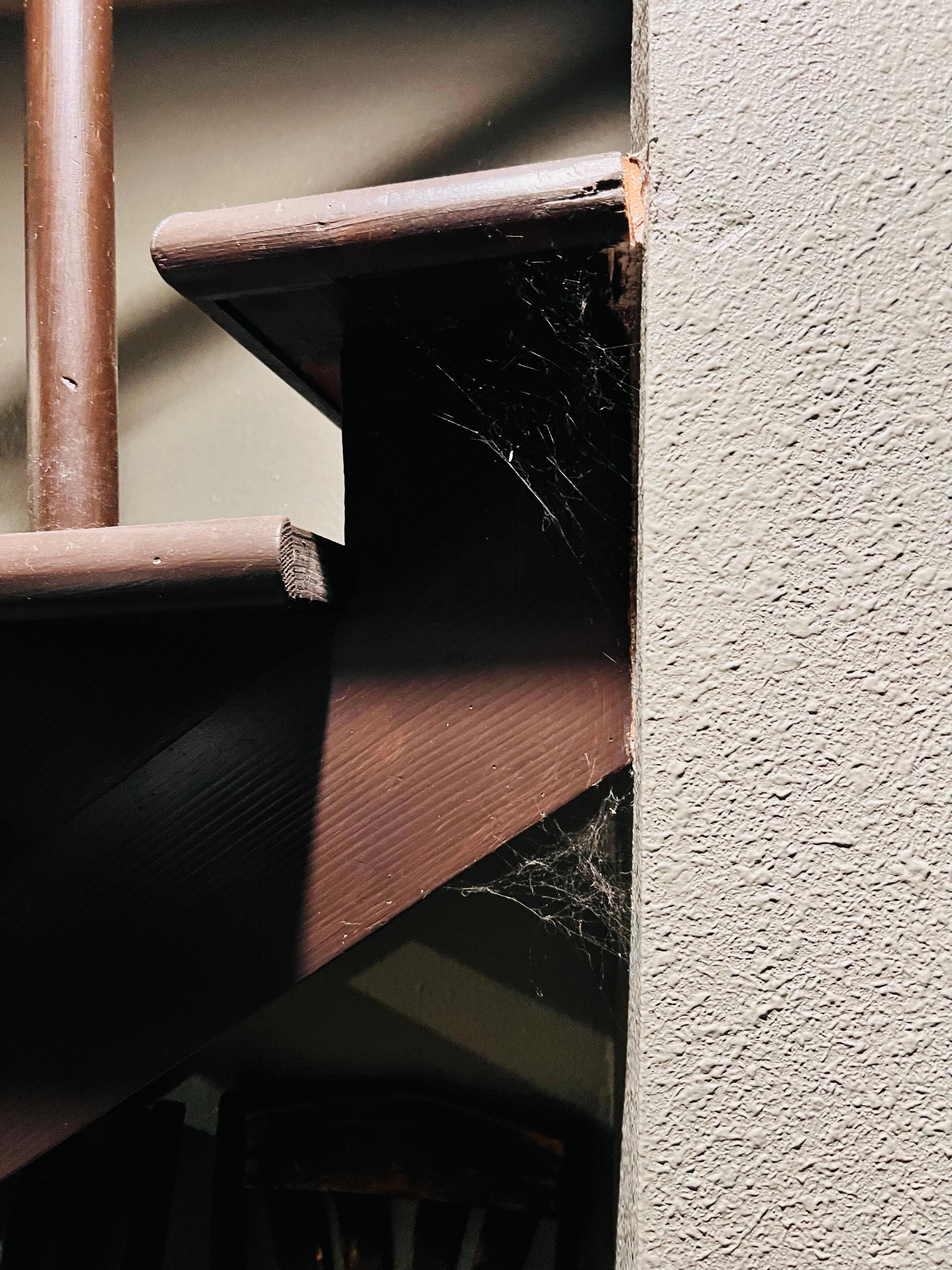 There is spiderwebs. Everywhere and spiders  