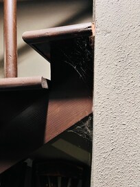 There is spiderwebs. Everywhere and spiders