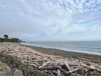 Harbor beach