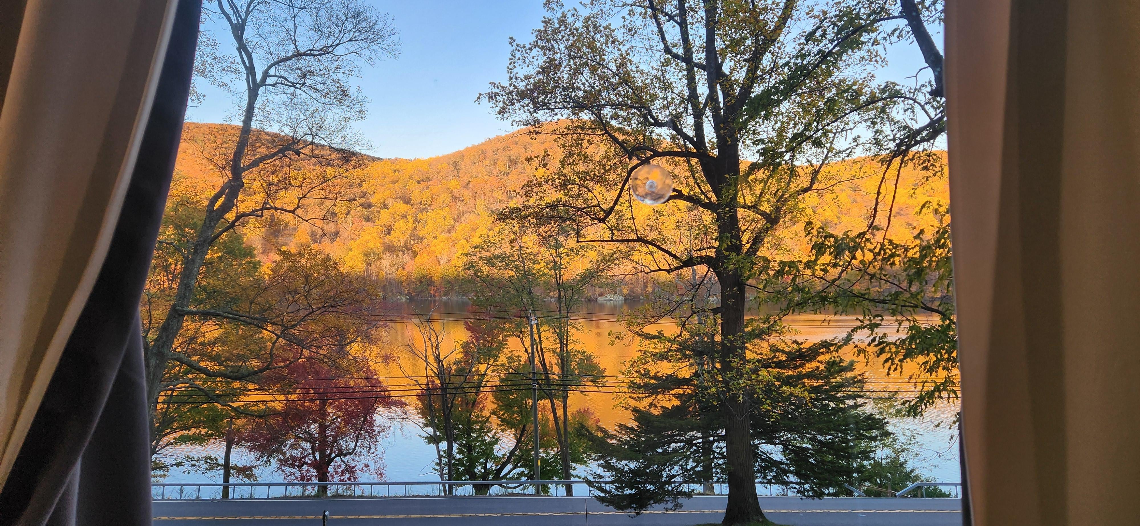 View from living room window. 