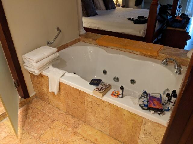 No privacy for the shower and bathroom in the Junior Suite