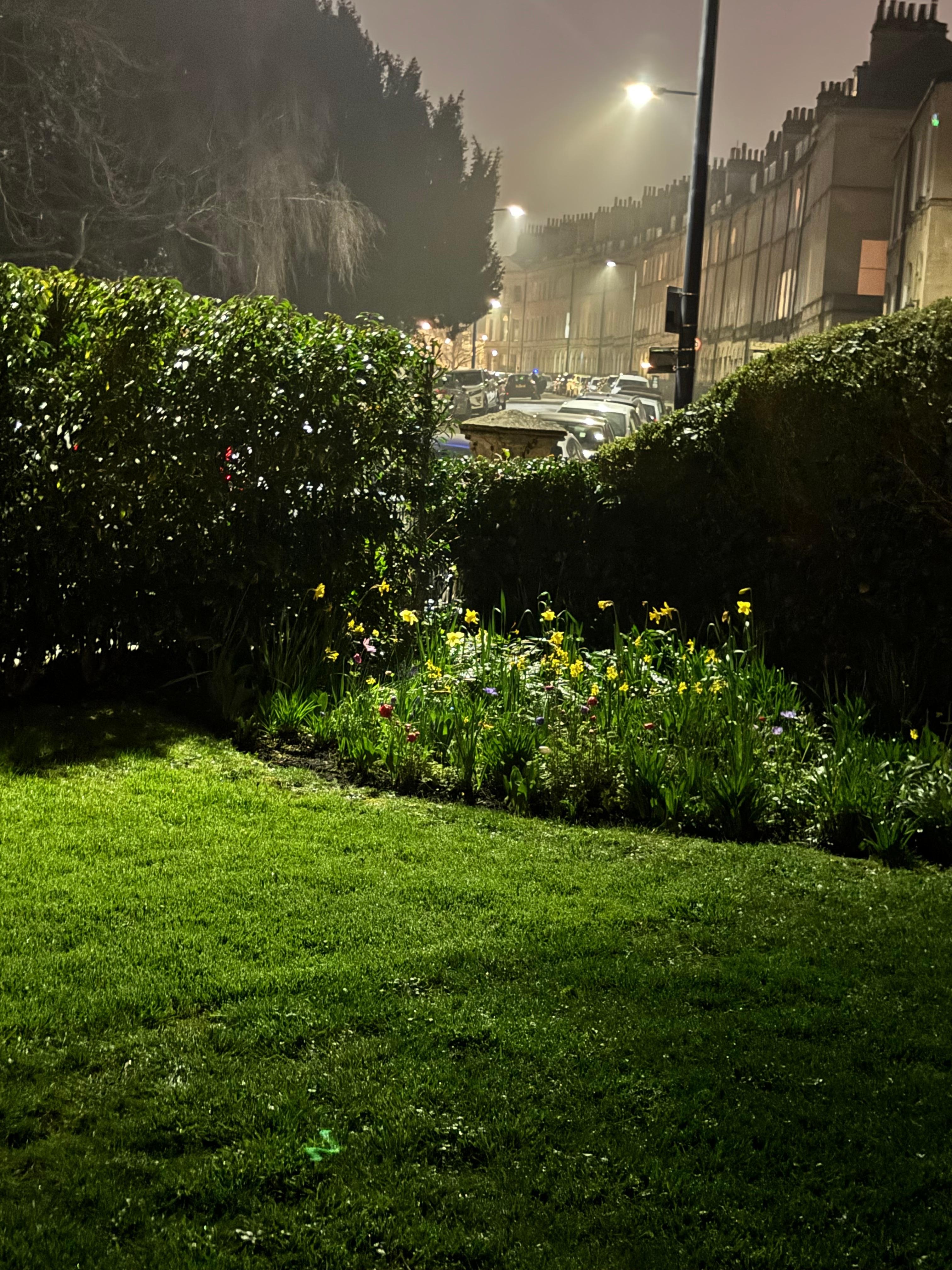View of the street from the garden