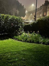 View of the street from the garden