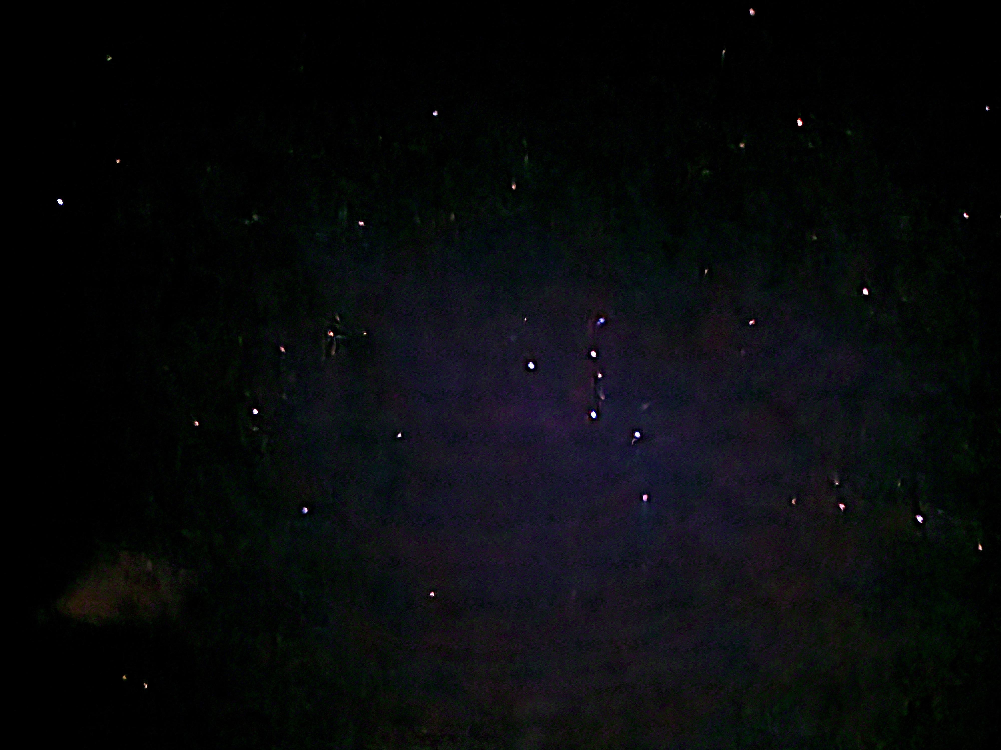 Amazing star gazing! 