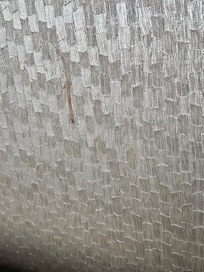 Unsure what this was on the wall in our room.