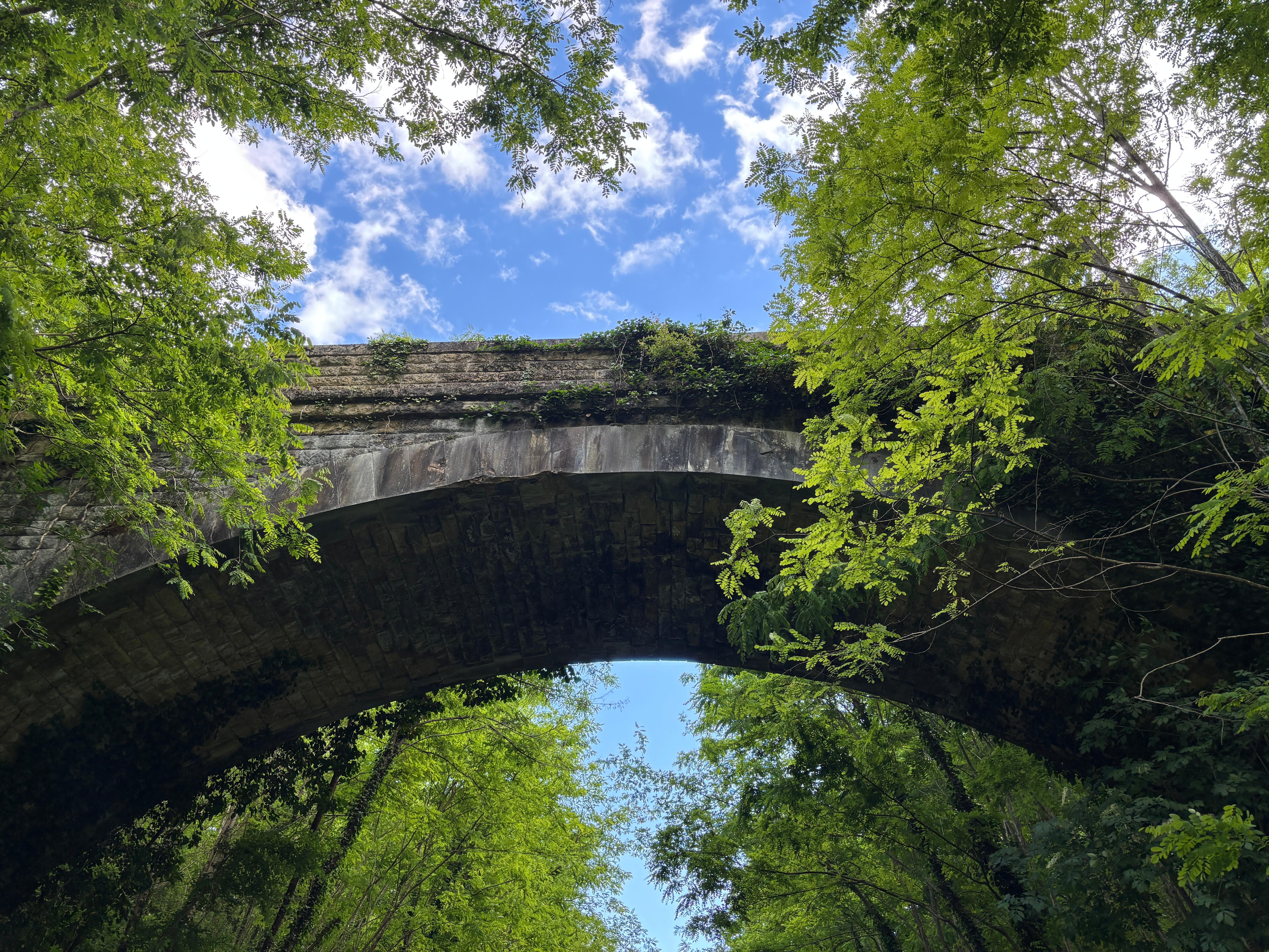 A nice bridge on a walk near the apartment. 