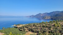 Une partie de la vue de la terrasse